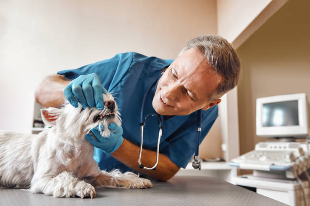 Best Dentist for Tooth Abscess  in Warsaw, VA
